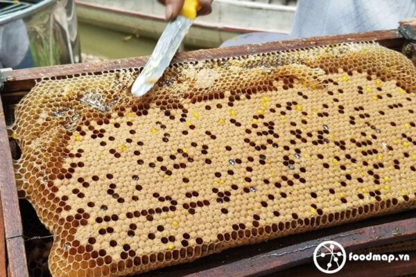 Mật Ong Tươi Nguyên Chất Hoa Tràm – 420ml – Đặc Sản Ngon Lành 2